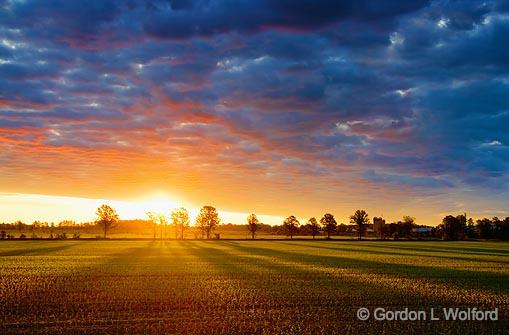 Sunrise Shadows_49650-3.jpg - Photographed near Carleton Place, Ontario, Canada.